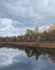 Blue Clouds and Brittle Leaves