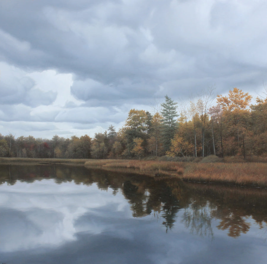 Blue Clouds and Brittle Leaves