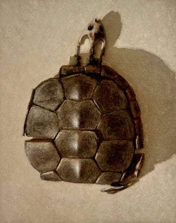 Turtle Shell