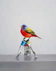 Painted Painted Bunting